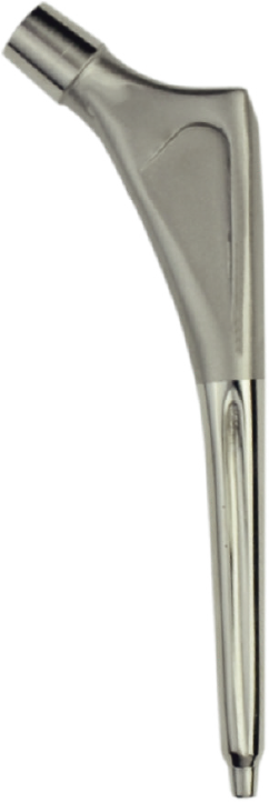 Femoral Stem (Cemented)